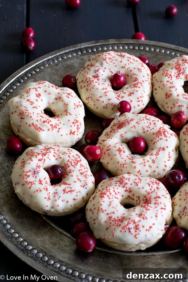 Assortment of Baked Cranberry White Chocolate Donuts