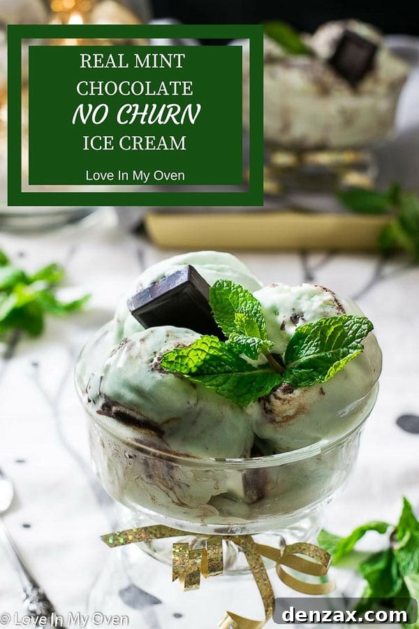 Real Mint Chocolate No Churn Ice Cream - Creamy, homemade mint chocolate chip ice cream made with fresh mint leaves.