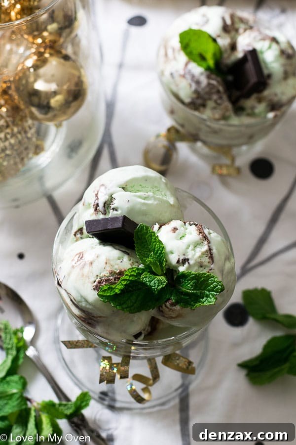 Homemade Mint Chocolate Chip Ice Cream with Real Mint