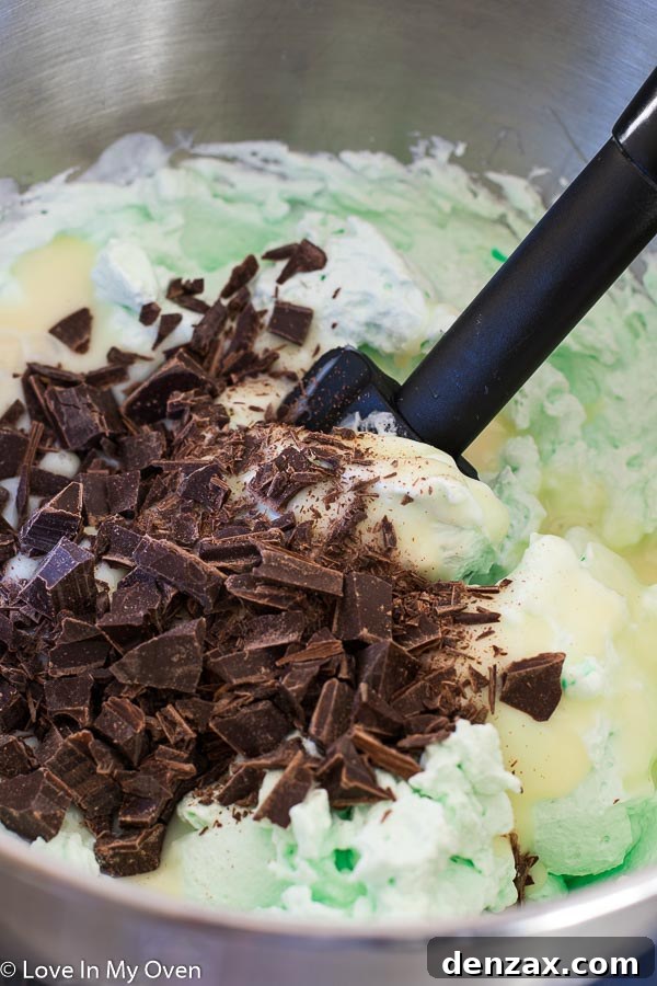 No Churn Mint Chocolate Chip Ice Cream Swirls