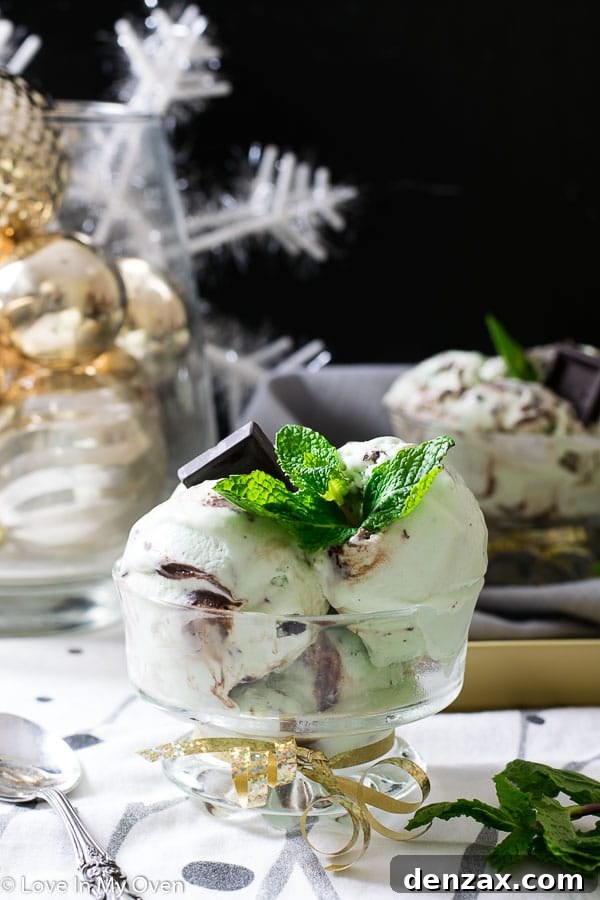 Close Up of Real Mint Chocolate No Churn Ice Cream