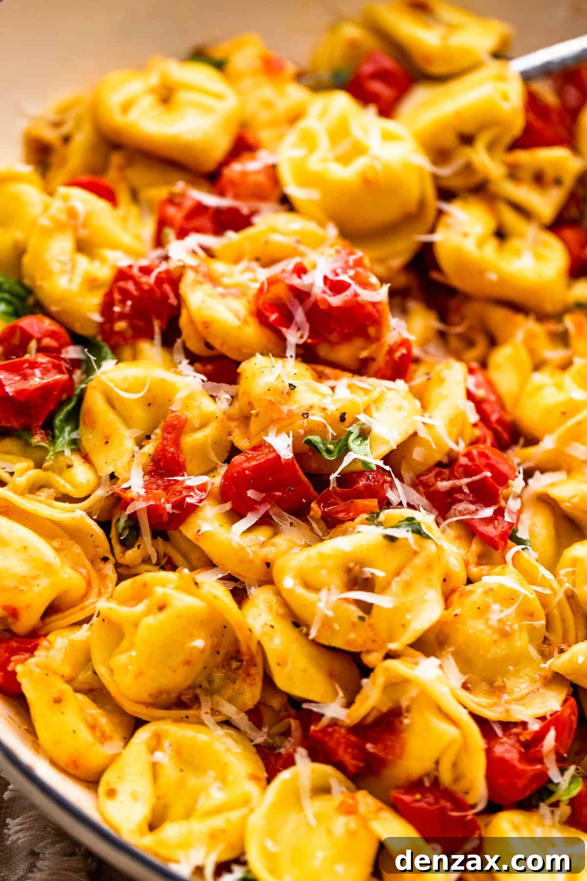cheese tortellini with roasted cherry tomatoes and fresh parmesan cheese