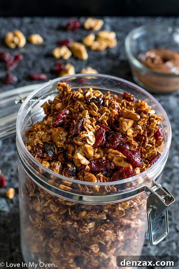 Nutella Walnut Granola - A delightful, homemade breakfast or snack option
