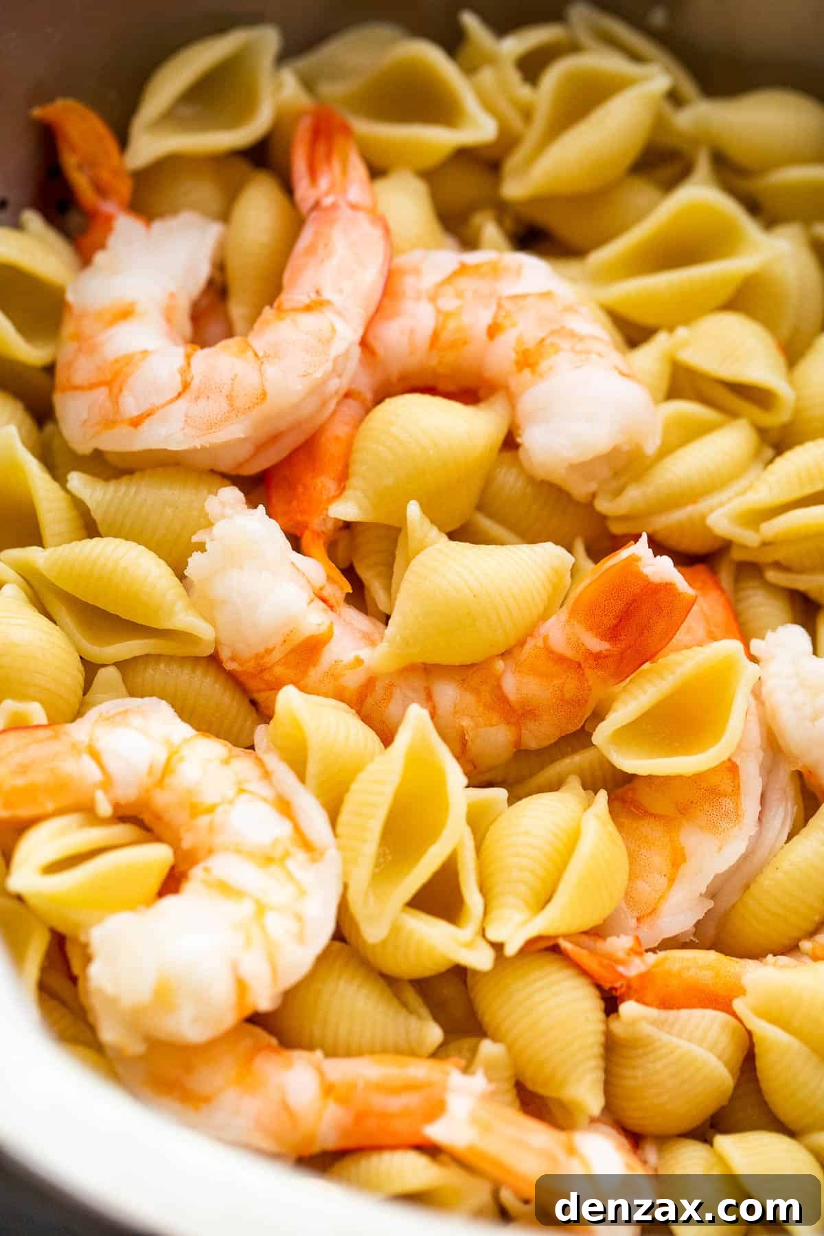 cooking shells pasta and shrimp