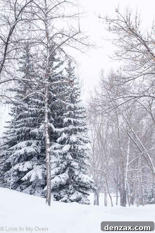A serene and reflective image, possibly a close-up of something natural and beautiful, symbolizing growth or continuity.