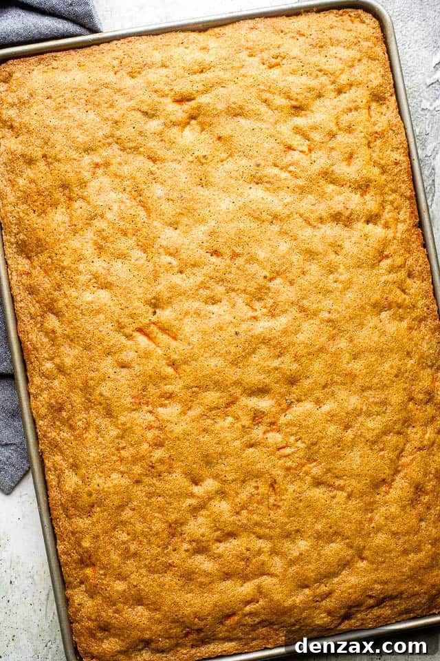 Freshly baked carrot cake in a sheet pan