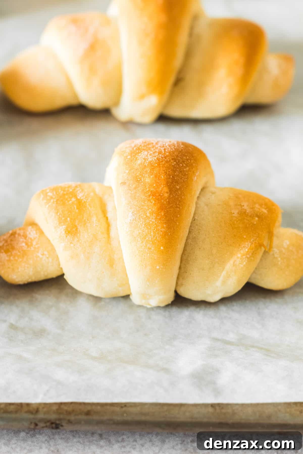 Close-up shot of two crescent rolls, shaped and baked.