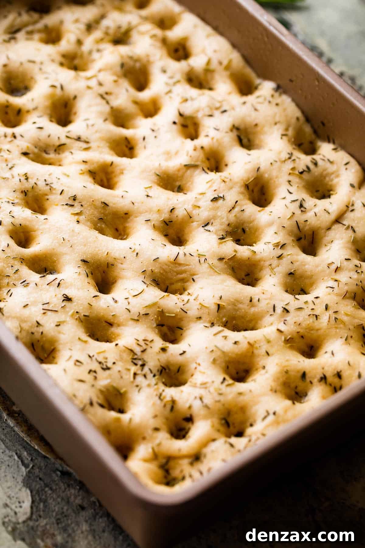 A pan of unbaked dough, poked all over with holes and sprinkled with fresh herbs.