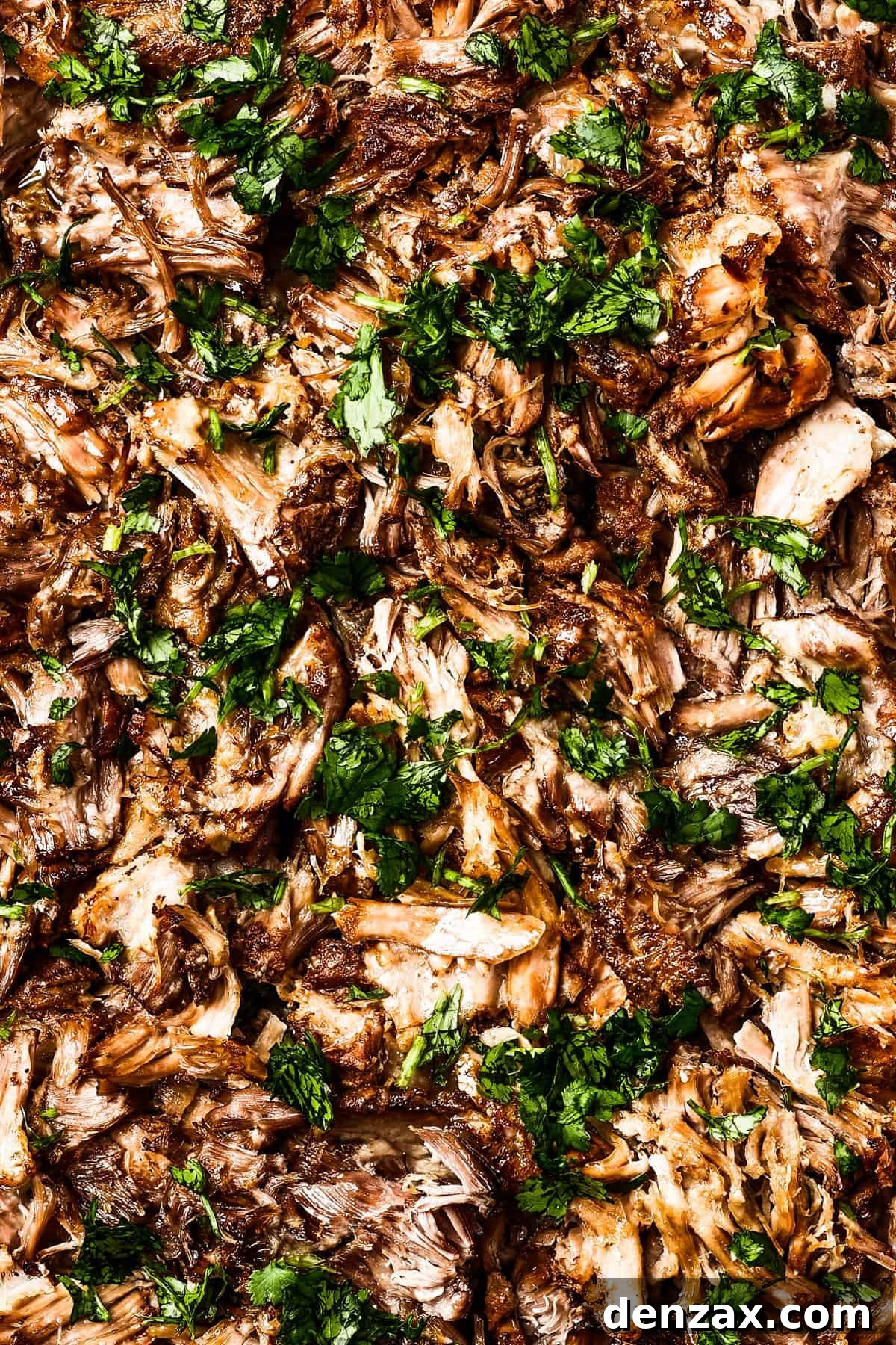 Crispy pork carnitas, garnished with fresh cilantro.