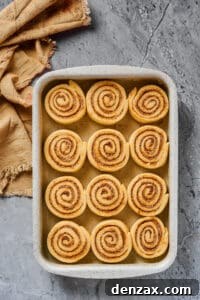 Homemade Cinnamon Rolls: Soft, Fluffy Recipe from Scratch 9 Sliced, unbaked cinnamon buns, lined up in a metal baking dish.
