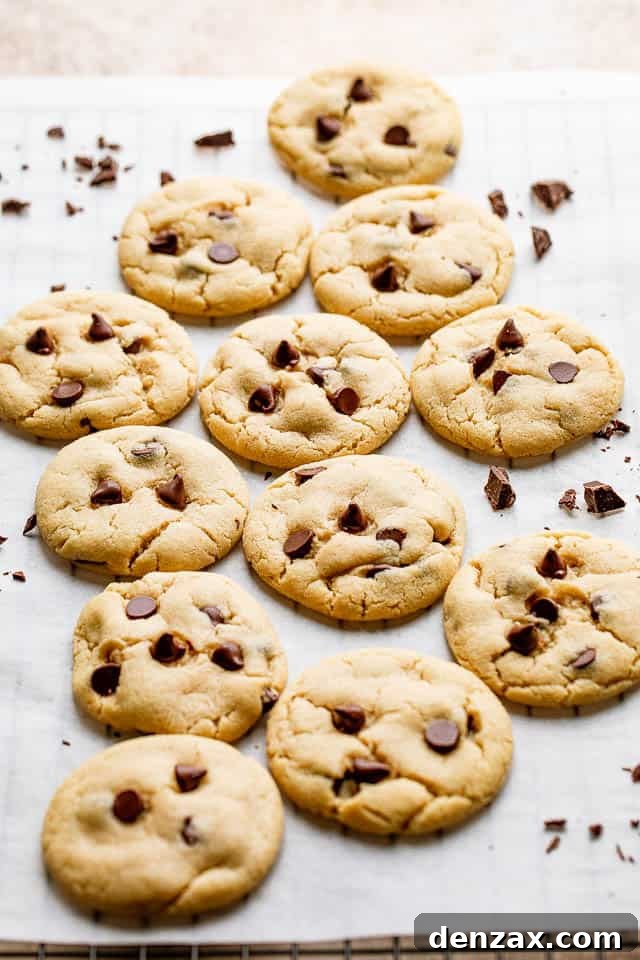 Chocolate chip cookies on a sheet A cookie sheet with chocolate chip cookies.