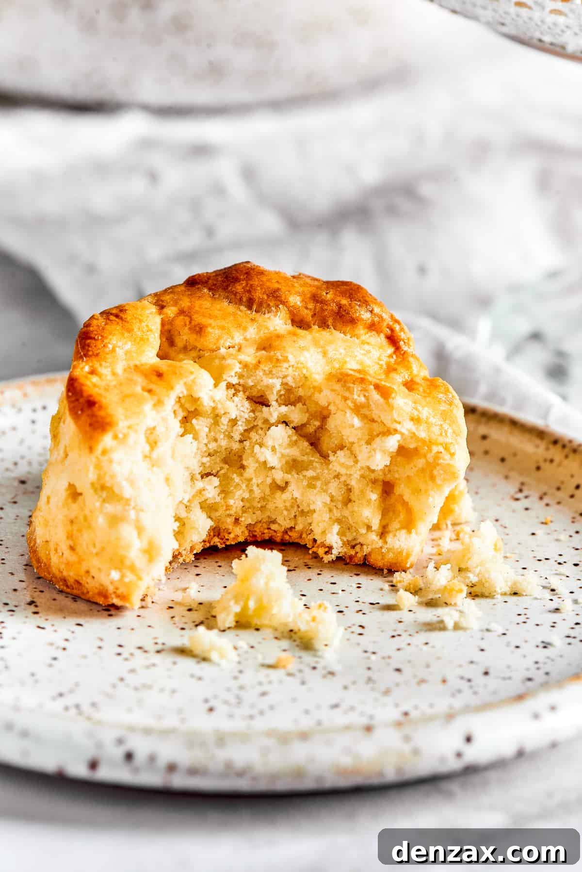 A biscuit with a bite taken out of it, on a small plate.