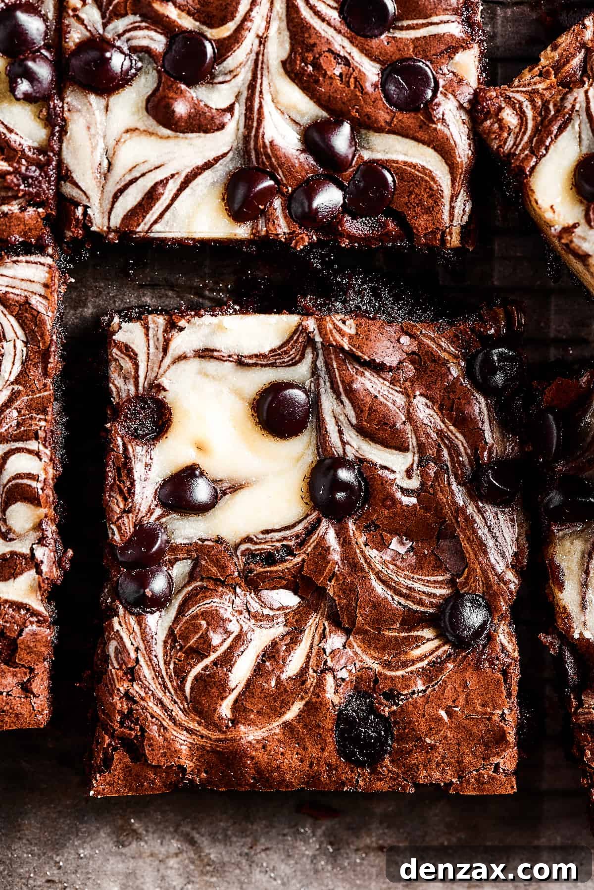 Cream Cheese Brownies Recipe: Fudgy Swirl Brownies You’ll Love 3 Close-up shot of a cream cheese swirl brownie dotted with chocolate chips.