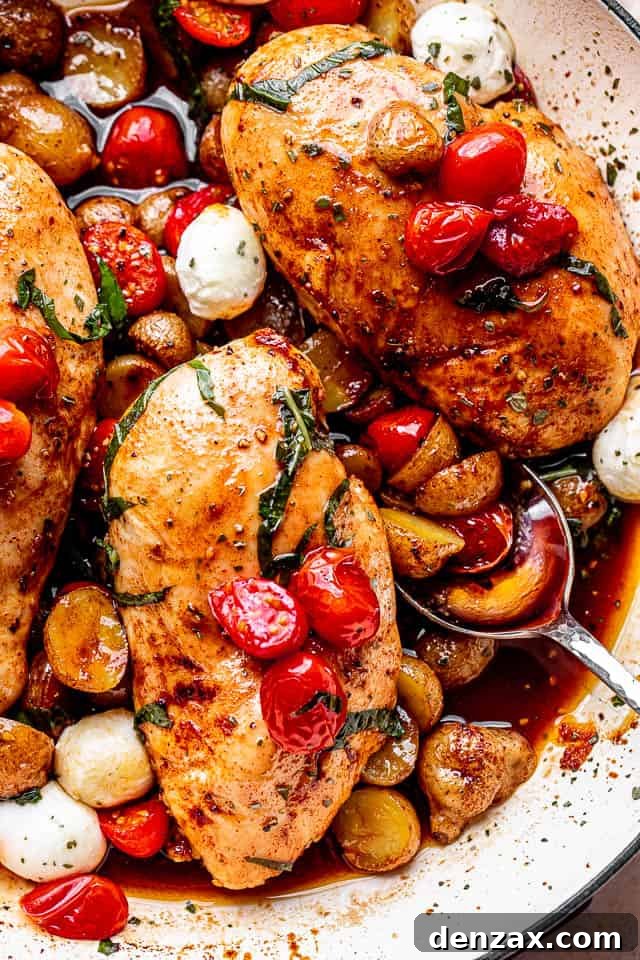 Balsamic Sheet-Pan Chicken and Potatoes Recipe 2 top view of balsamic baked chicken breasts topped with fresh basil, tomatoes, and mozzarella cheese balls