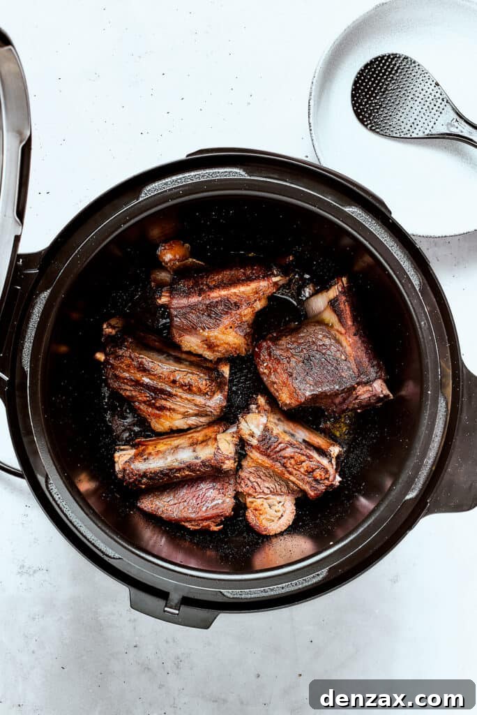 Seared short ribs in an instant pot.