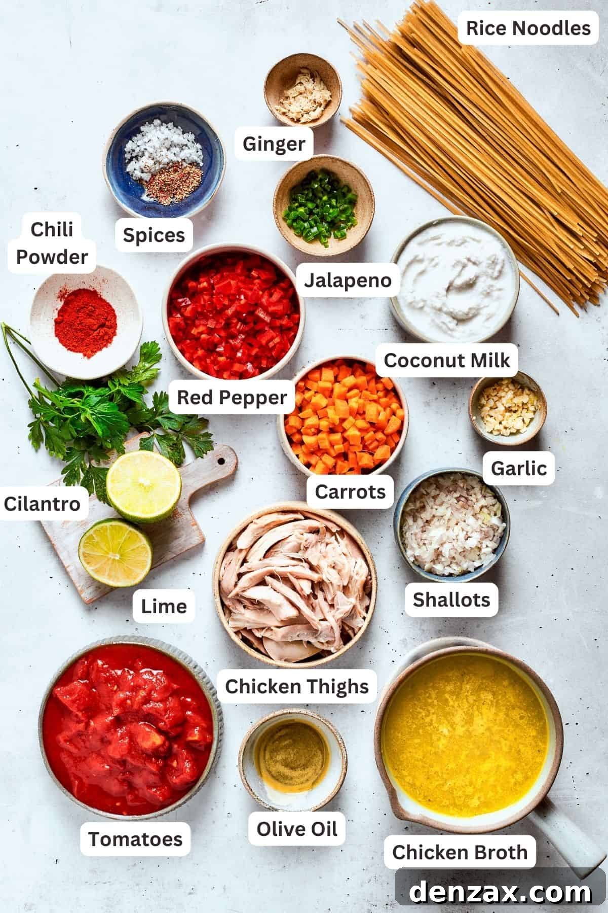 The ingredients for spicy chicken soup are shown portioned out: red pepper, chicken, coconut milk, garlic, carrots, shallots, lime, cilantro, broth, noodles, tomatoes, jalapeno, chili powder.