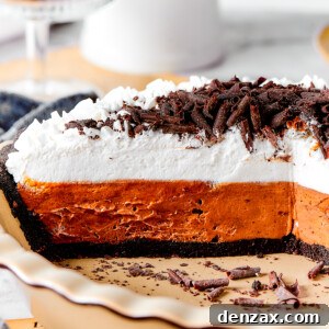 Pie in a plate with a layer of chocolate and a top layer of vanilla.