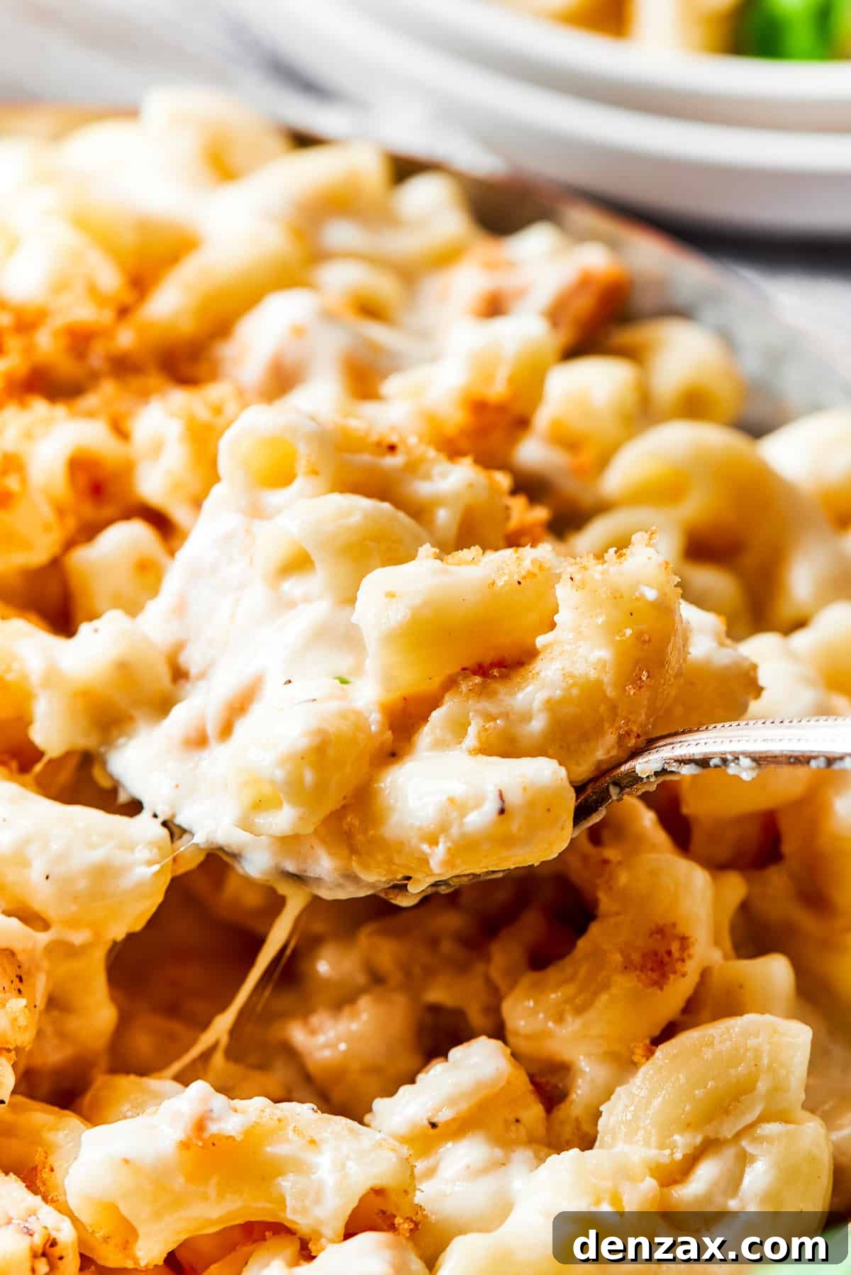 Spoon lifting chicken mac and cheese