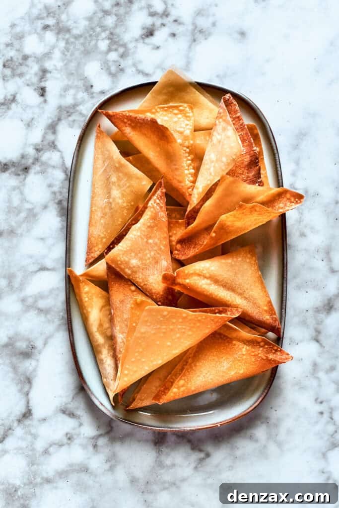The crisp wonton wrappers on a dish.