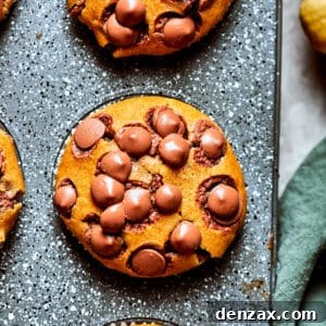 Moist Pumpkin Chocolate Chip Muffins Recipe for Fall Baking 2 Three pumpkin chocolate chip muffins in a muffin tin.