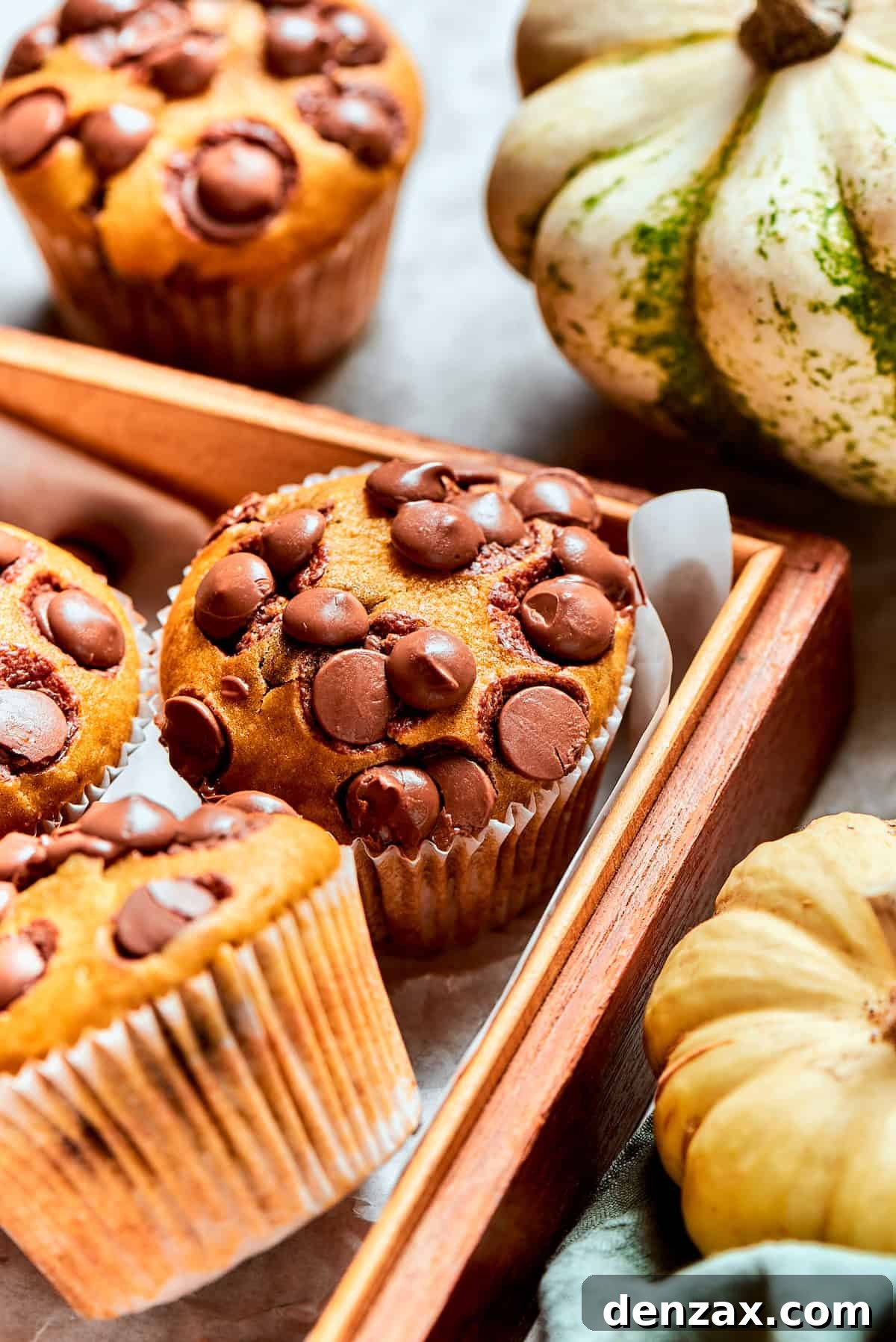 Warmly spiced Pumpkin Chocolate Chip Muffins are soft, fluffy, and loaded with chocolate chips in every bite! Chocolate chips top pumpkin muffins.