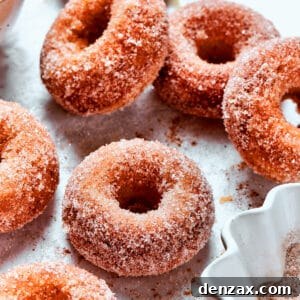 Cinnamon sugar sparkles on baked apple cider donuts.