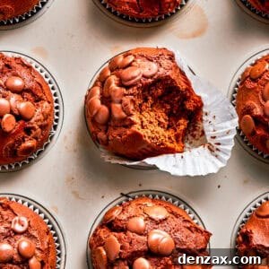 Chocolate muffins in muffin liners.