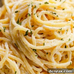 close up shot of creamy spaghetti