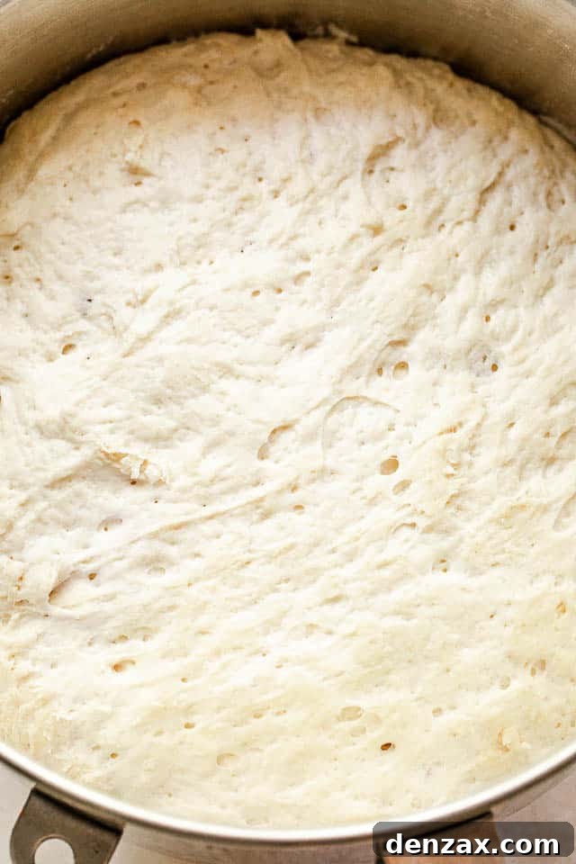 top overhead shot of rising dough