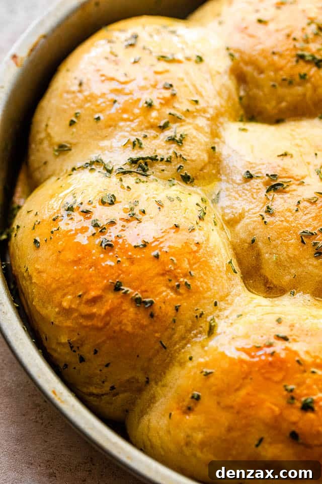 side close up shot of baked dinner rolls garnished with parsley