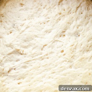 top overhead shot of rising dough