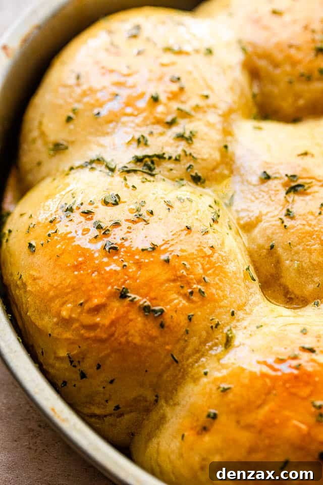 side view close up shot of baked dinner rolls sprinkled with herbs and set in a pan