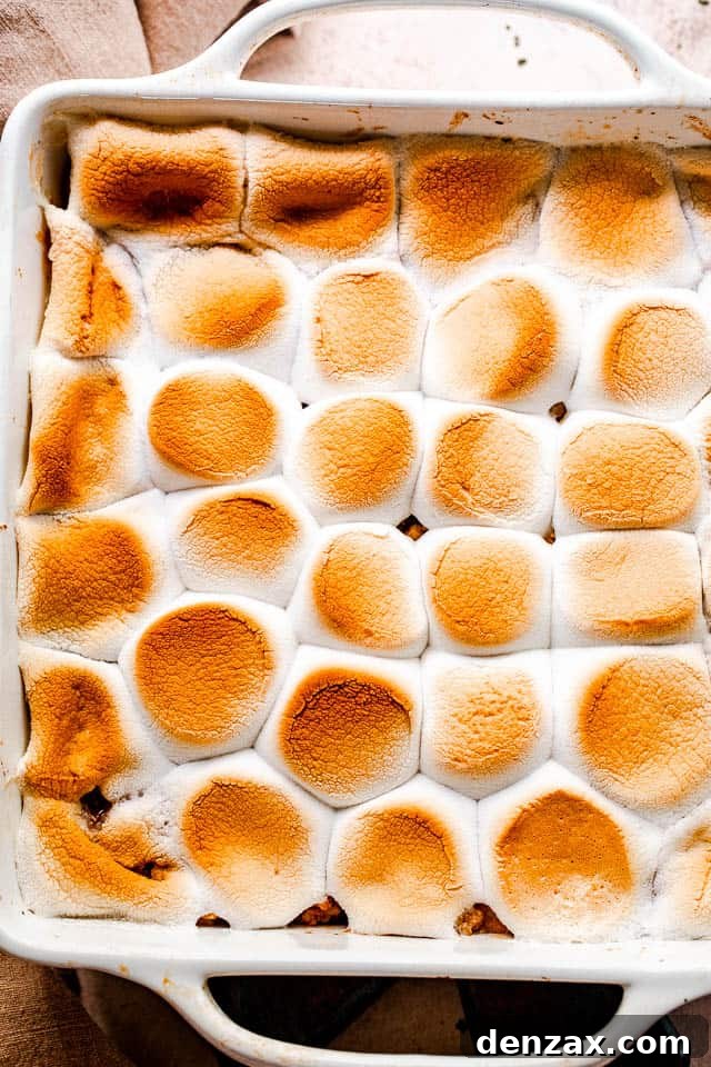 overhead shot of an apple crumble topped with toasted marshmallows