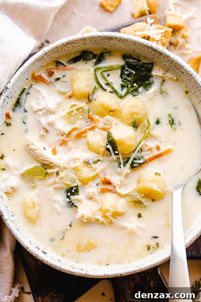 overhead shot of bowl filled with gnocchi soup