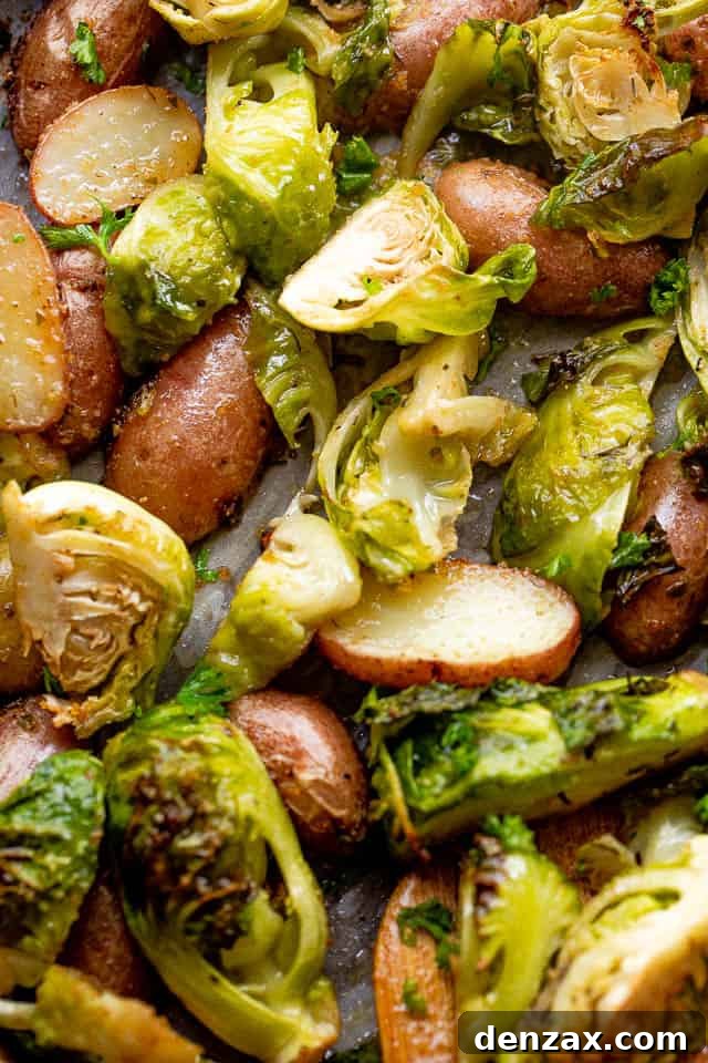 close up overhead shot of cooked brussel sprouts and fingerling potatoes