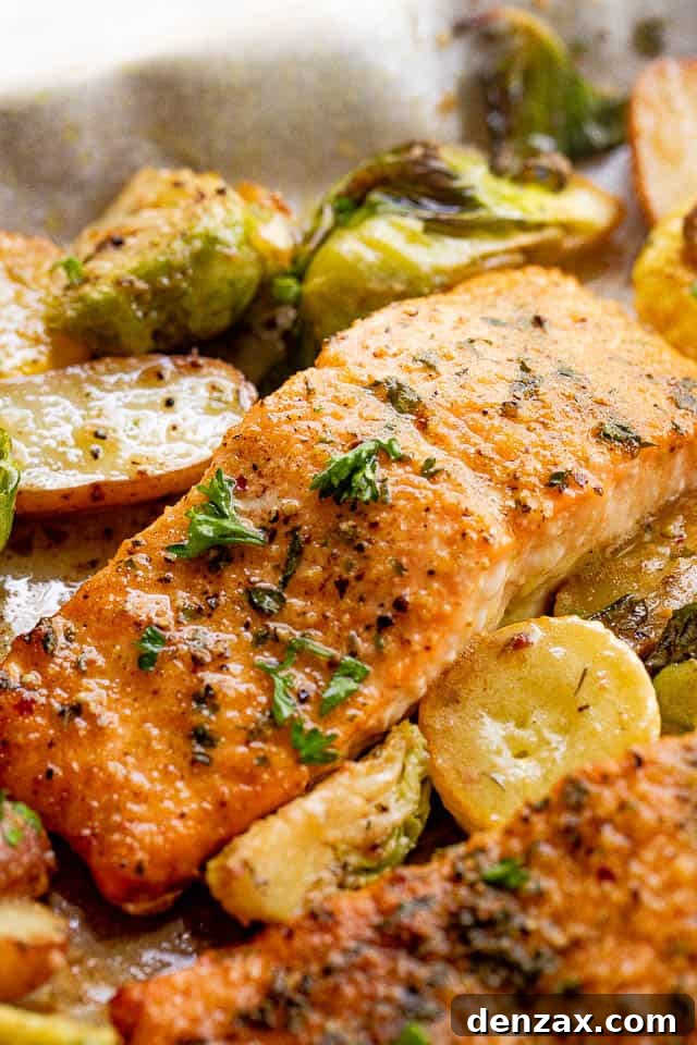 close up shot of roasted salmon fillets with brussel sprouts and yellow squash