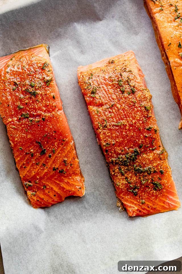 overhead shot of seasoned raw salmon fillets