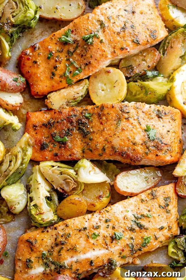 overhead shot of roasted old bay salmon fillets with brussel sprouts and yellow squash