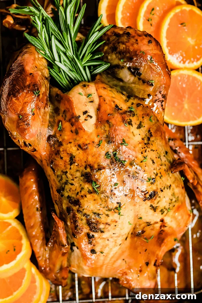 overhead close up shot of a whole roasted turkey on a roasting pan