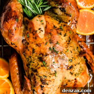 Roasted turkey in a pan with rosemary and orange slices.