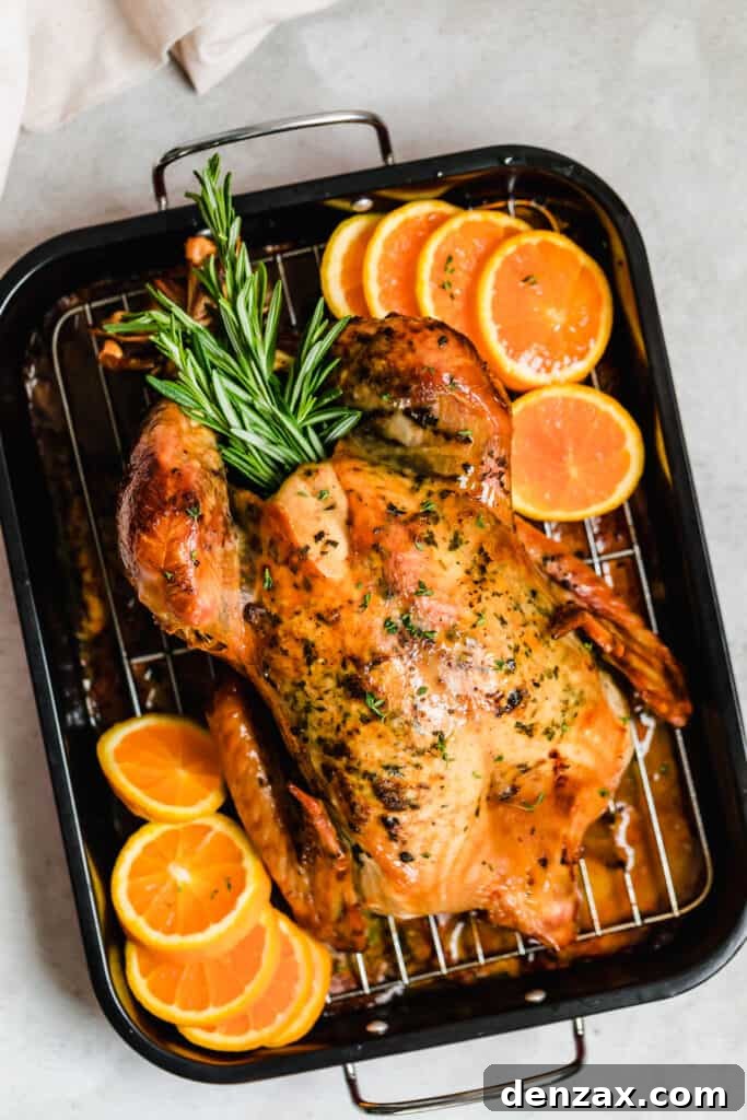 Roasted turkey in a pan with rosemary and orange slices.