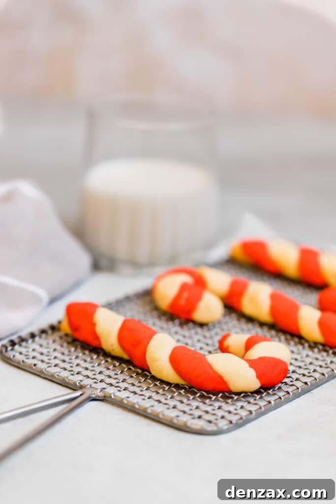 A Line of Three Candy Cane Shaped Cookies Cooling