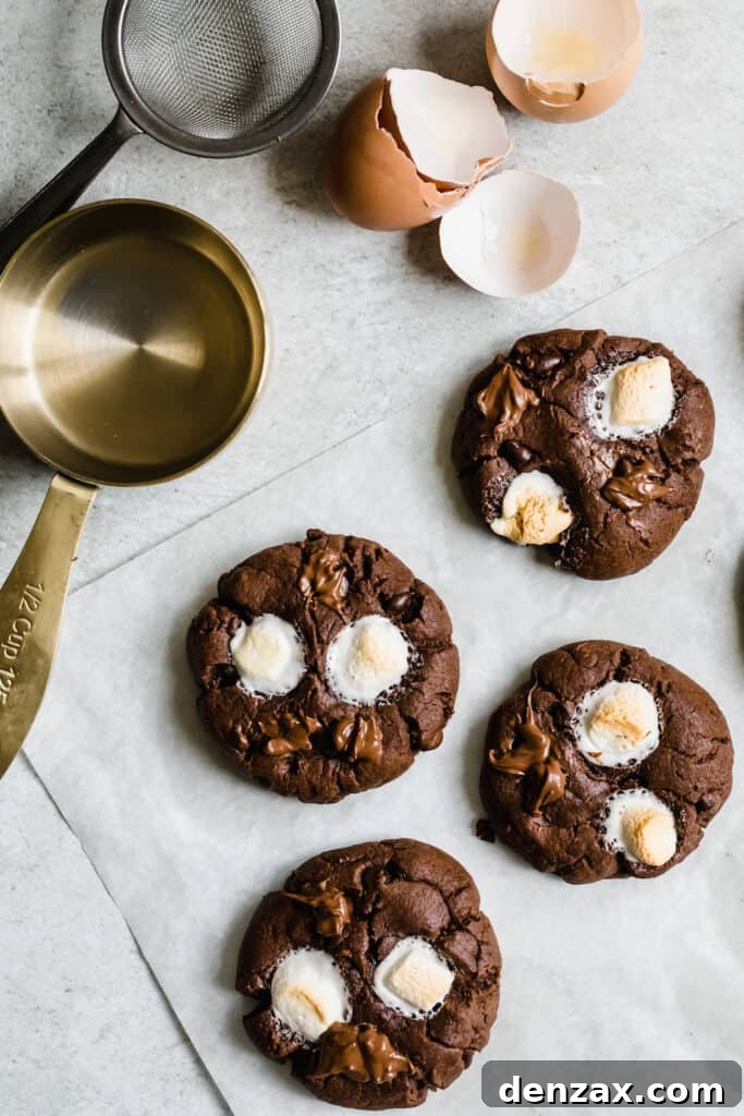 Four Hot Chocolate Sugar Cookies, a Measuring Cup and a Mesh Sieve
