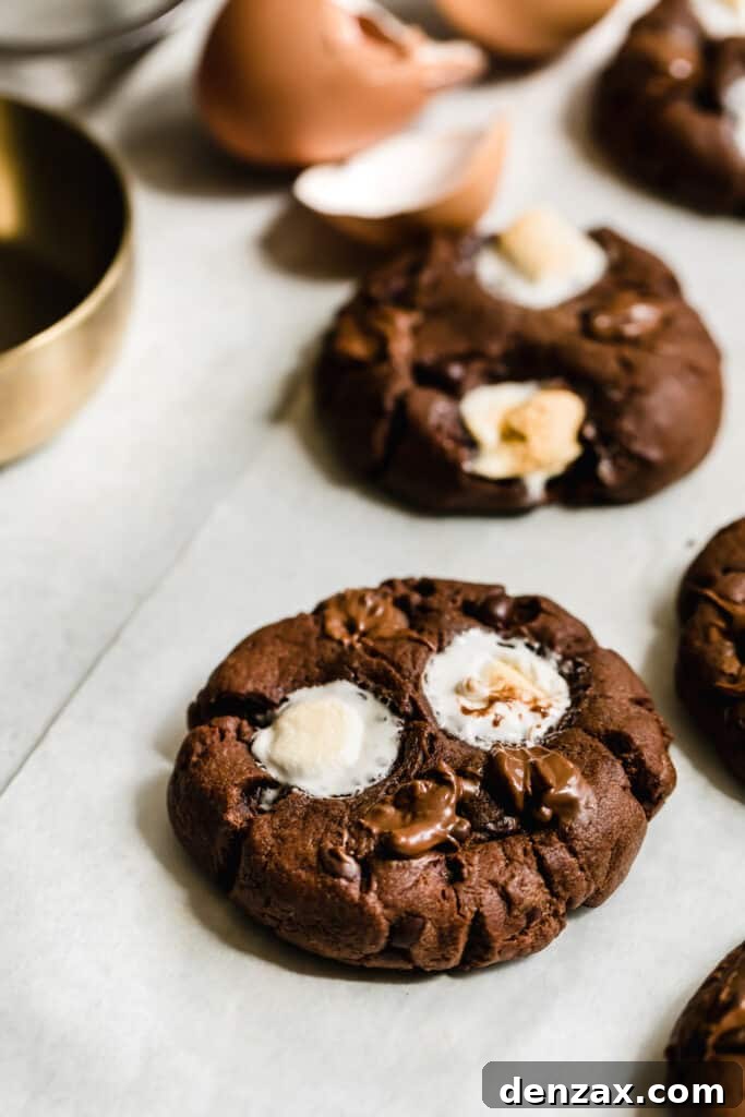 A Freshly-Baked Hot Chocolate Sugar Cookie on the Counter