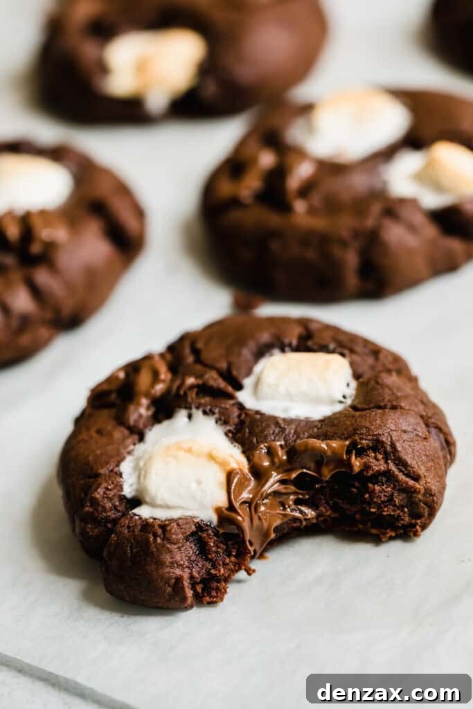 A Bitten Chocolate Sugar Cookie on a White Surface