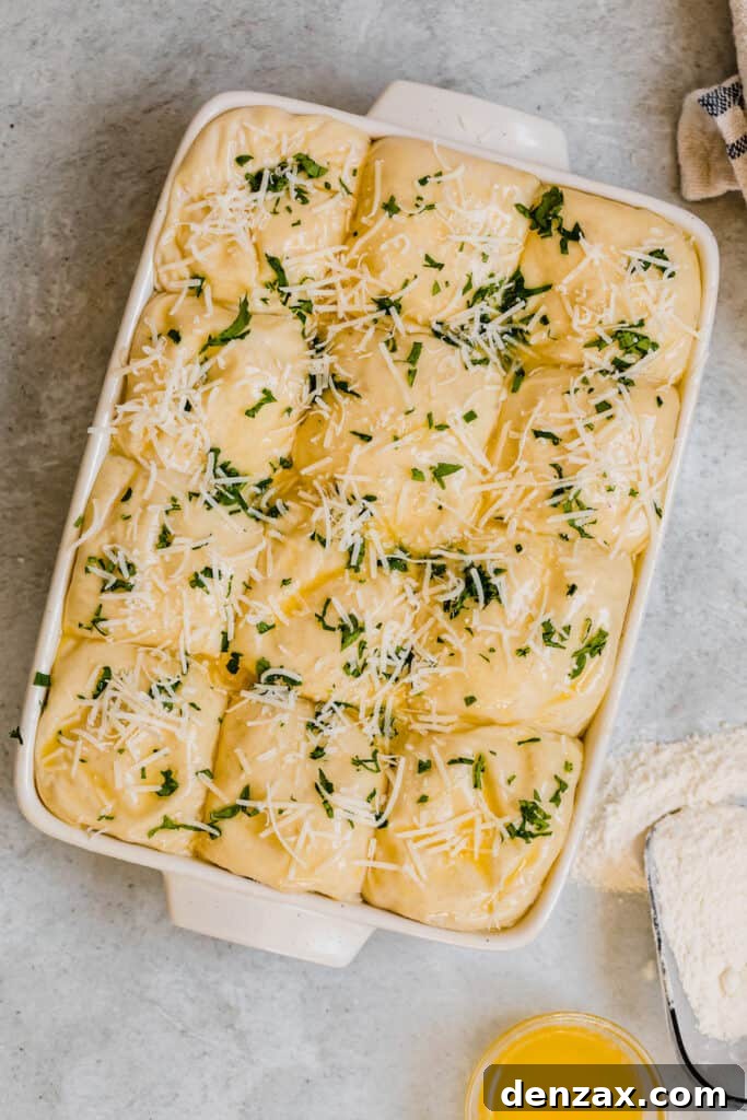 Risen Parmesan Dinner Roll Dough Topped with Parmesan Cheese and Chopped Parsley