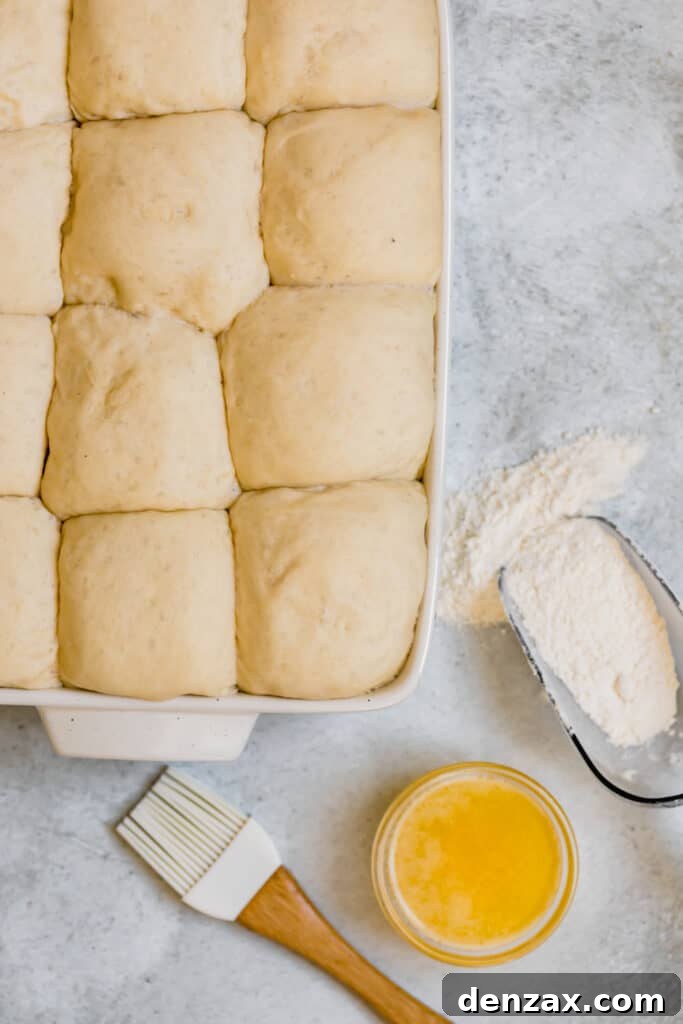 The Risen Dinner Roll Dough Balls Packed Together in the Baking Pan