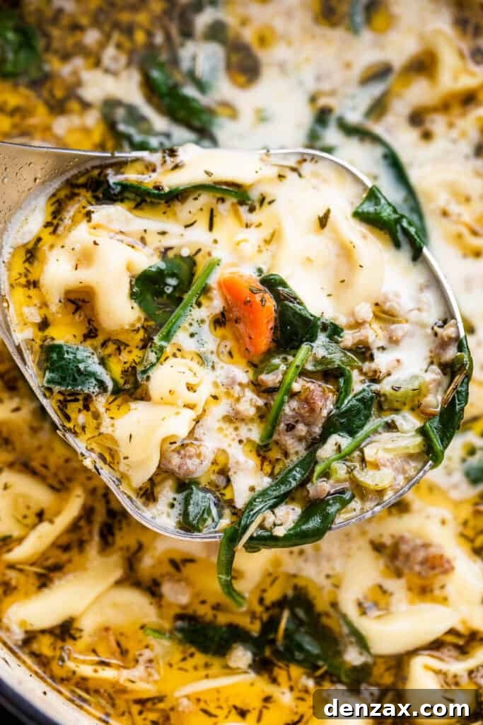 close up photo of tortellini soup in a ladle