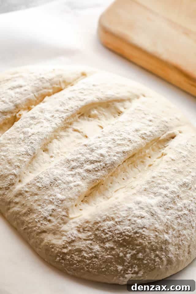 shaped dough for baking bread