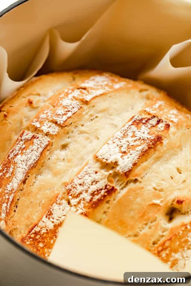 side shot of a bread cooked in dutch oven